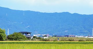 聚焦農(nóng)村人居環(huán)境，重在綜合整治提升